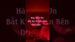 Mọi Cuộc Gặp Gỡ Trên Đời Đều Có Lý Do – Hãy Biết Ơn Điều Đó  #mytranjourney #truyendongluc