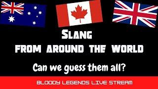 Slang from around the world. Drongo, loonie, butchers hook. What do they mean?