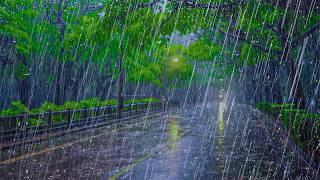 Fall Asleep in Less Than 2 MINUTES with Natural Sounds of HEAVY RAIN on Empty Road at Night