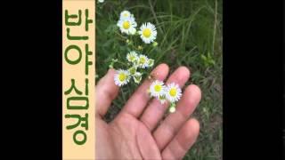 반야심경 테크노 버전