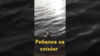 РИБАЛКА НА ОКУНЯ В ЛИСТОПАДІ #fishing #рибалка #риболов #риба