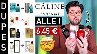 Kostet Nix und ist Geil ️‍ CALINE Dupes - ALLE in einem Video 