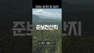 땅부자들만 아는 비밀, 임야! 돈되는 정보 1분만 투자하세요 #부동산 #부동산꿀팁