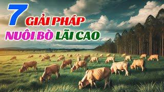 7 Giải Pháp Nuôi Bò Có Lãi Khi Giá Bò Giảm Sâu Giá Bán Bò Tăng Khi Nào.