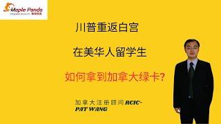 川普重返白宫,在美华人留学生如何能拿到加拿大绿卡