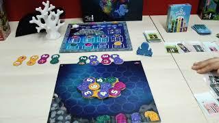 Lumicora (Deep Print Games/Pegasus Spiele) / Spielwarenmesse 2024