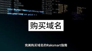 完美购买域名的Raksmart指南