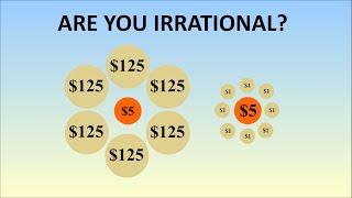 How Logical Are You? The Irrationality Illusion Tricks Most