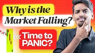 Why Did Markets Fall Today? What's Next? | marketfeed