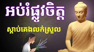 Dharma Education Mind 24h: ព្រះធម៌អប់រំចិត្ត ស្ដាប់រំសាយទុក្ខ មុនចូលគេង គេងលក់ជាសុខ