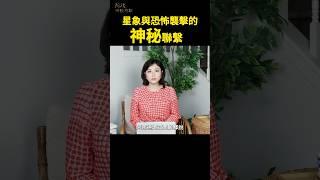 星象與恐怖襲擊的神秘聯繫  ｜#琦玟街談巷說  #阿南德預言 #信不信由你  #琦玟