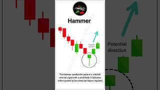 Hammer Candlestick Pattern | A Bullish Reversal Signal | Day 1 #hammercandlestick