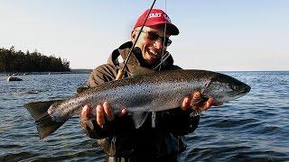 Fliegenfischen auf Meerforelle, Flyfishing.