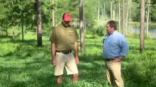 Tips  For Planting Summer Food Plots In The South