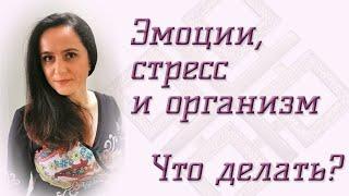 Эмоции, стресс и организм
