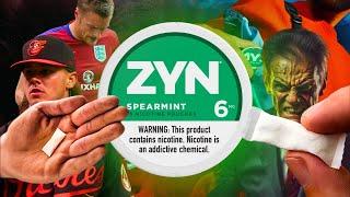 Is Zyn the MOST Evil Company in the World? (2024)