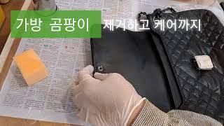 가죽 가방 곰팡이  두가지 약품이면 충분하다 #가죽의전당  #leather #restoer