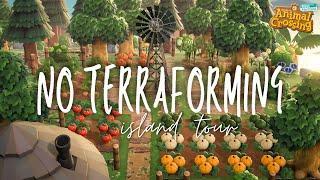 My NO TERRAFORMING ISLAND | colorful farms & forestcore | Animal Crossing: New Horizons