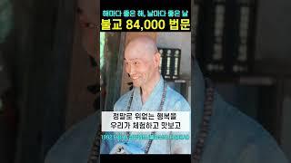 불교 84000법문의 모든 뜻이 해마다 좋은 해 날마다 좋은 날 때마다 좋은 때 입니다 #청화스님