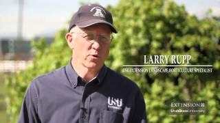 USU Extension Water Impacts