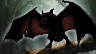 Biology of the Jersey Devil | Terror of the Pine Barrens