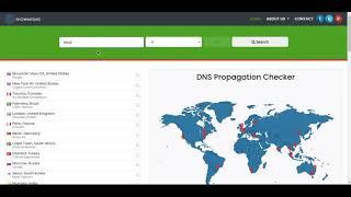 ShowMyDNS - DNS Checker & DNS Propagation Checker Tool Online