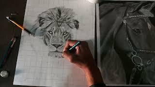 Draw lion sketch  | lion ke drawing ko kaise banaye