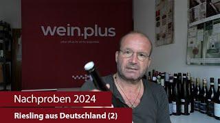 Nachproben 2024 | Riesling aus Deutschland (2)