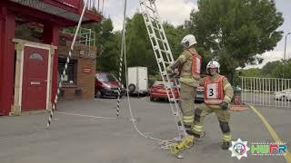 Ascending and Descending a Ladder