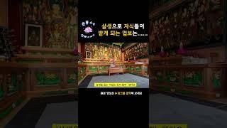살생 직업으로 자식들이 받는 업보는?
