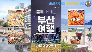 [부산 EP.03] 봄날의 부산 3박 4일 여행 / 해운대 아침산책 / 해운대광장 / 낙곱새 / 그랜드조선 스타벅스 / 양꼬치 / 해운대시장 / 양념곰장어 / 해운대 밤산책