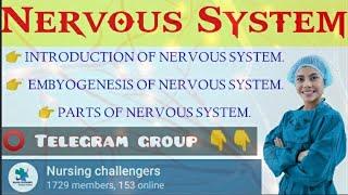 Nervous System || Medical surgical nursing ( MSN ) || Nursing challengers || By Subhash Choudhary