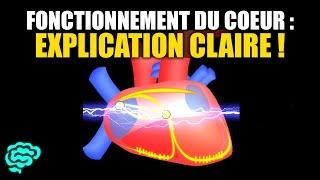  La Physiologie Cardiaque Expliquée Très Clairement par Dr Astuce