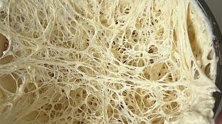 How to Make a 100% Biga Ciabatta, Handmade Italian Bread( Easy)