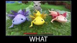 Minecraft wait what meme part 100 realistic minecraft axolotl