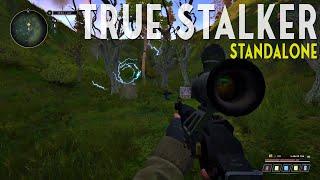 The mistery of Ghost Smoke Anomaly | True S.T.A.L.K.E.R. Standalone