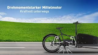 Aldi E Rad Lastenrad 3.249,99 online