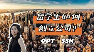 留学生在美国可以开公司吗?开设的公司是否可以支持自己OPT呢?以及是否开设公司=可以工作呢?一次性给留学生全面解答身份以及创业问题!