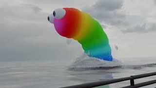 wormet io slither io ocean
