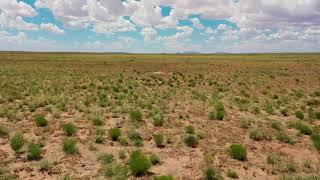 Land For Sale - Multiple lots in Navajo County, AZ