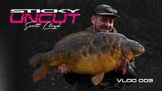 Scott Lloyd | Vlog - 003 | Sticky Uncut | Carp Fishing