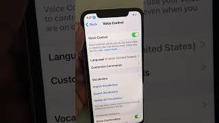 How to use voice control in iPhone