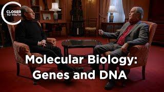 Terrence Deacon - Molecular Biology: Genes and DNA