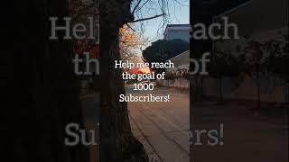 you can help me reach my goal! #italy #tourism #abruzzo #travel #support #shorts #italia #subscribe