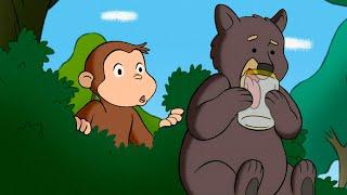 George Meets A Bear  Curious George  Animal Friends