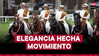 "El Caballo de Paso Peruano, el embajador silencioso de Perú” | Mercado Peruano, 10 de diciembre