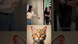 dangerous moment  #cat #meme #dance #trending