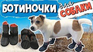 Shoes for a dog with their own hands. We sew shoes for dogs. Dog shoe pattern