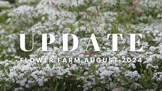 Flower Farm Update - August 24