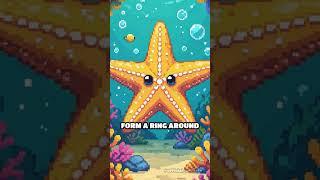 Why Starfish Have No Brains: W.T.Facts Time!